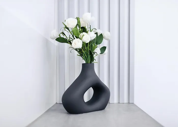 Silver Stars 1 Zadar